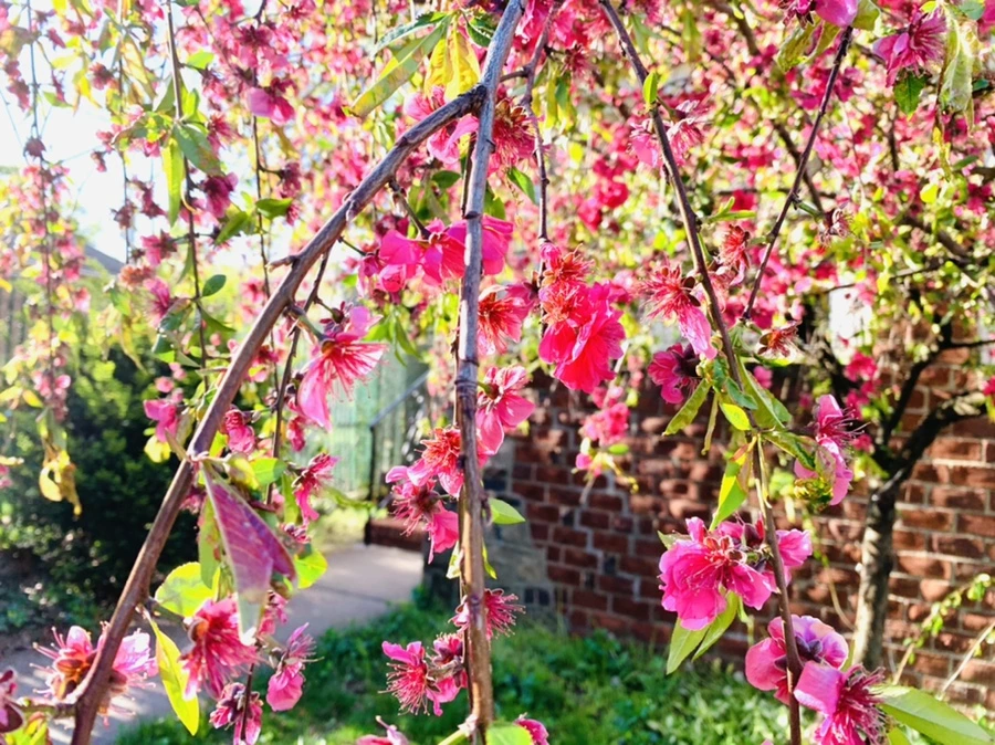 IMG_0371.jpg?type=w966