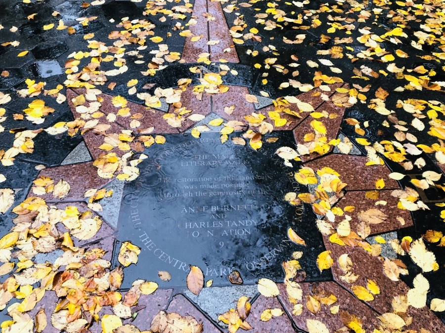 IMG_3131.jpg?type=w966