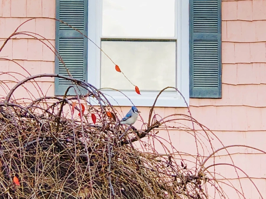 IMG_5810.jpg?type=w966