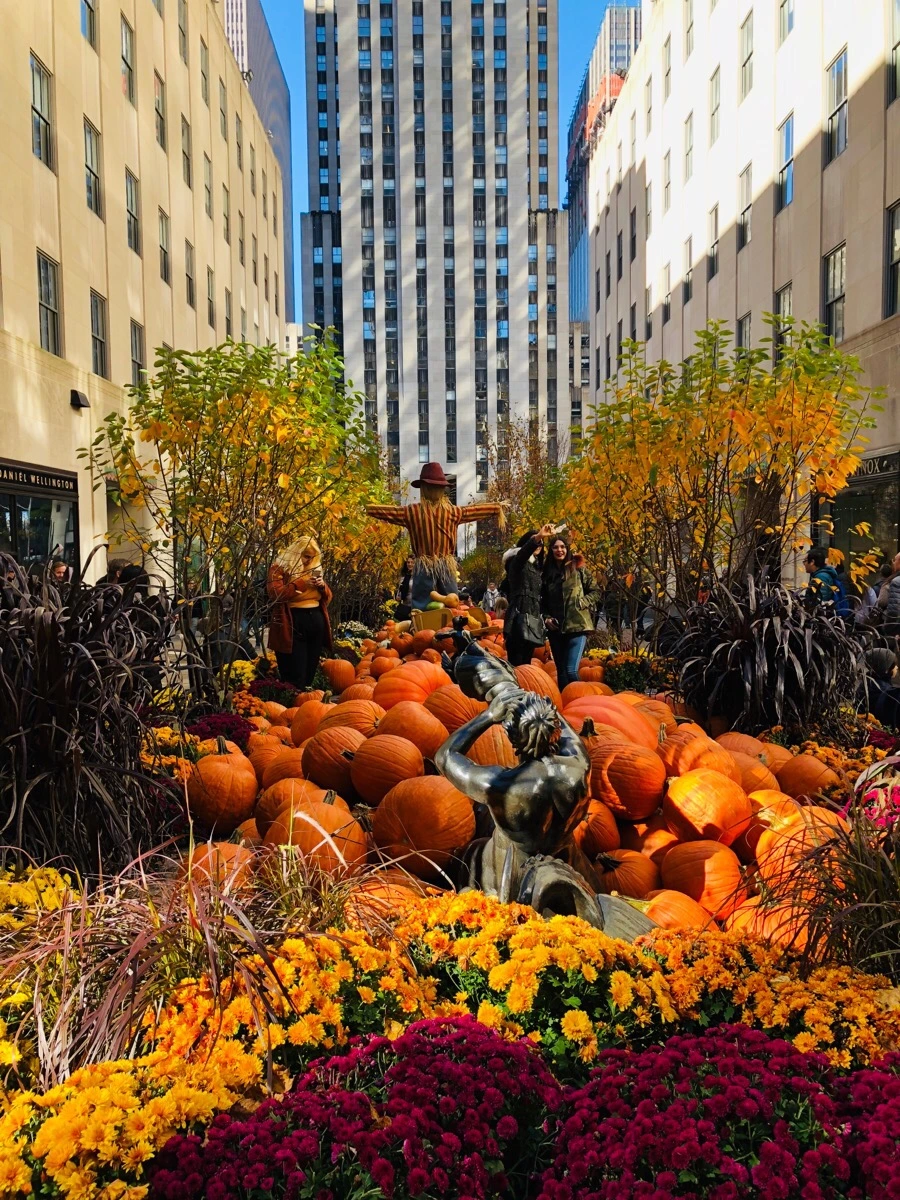 IMG_7181.jpg?type=w966