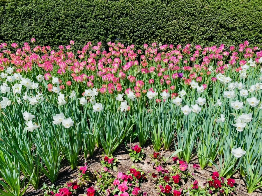 IMG_5737.jpg?type=w966