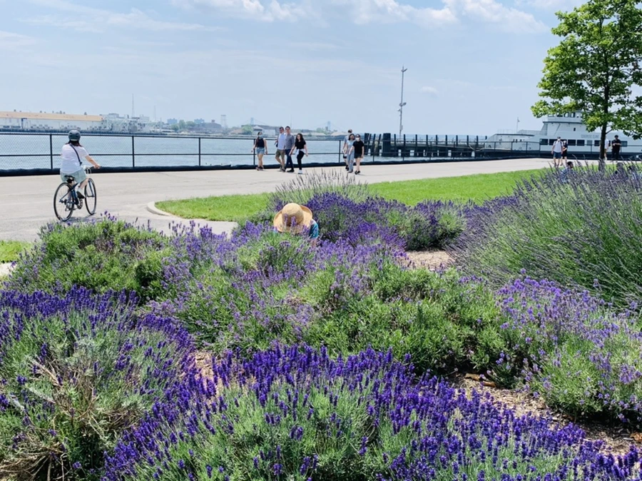 IMG_5108.jpg?type=w966