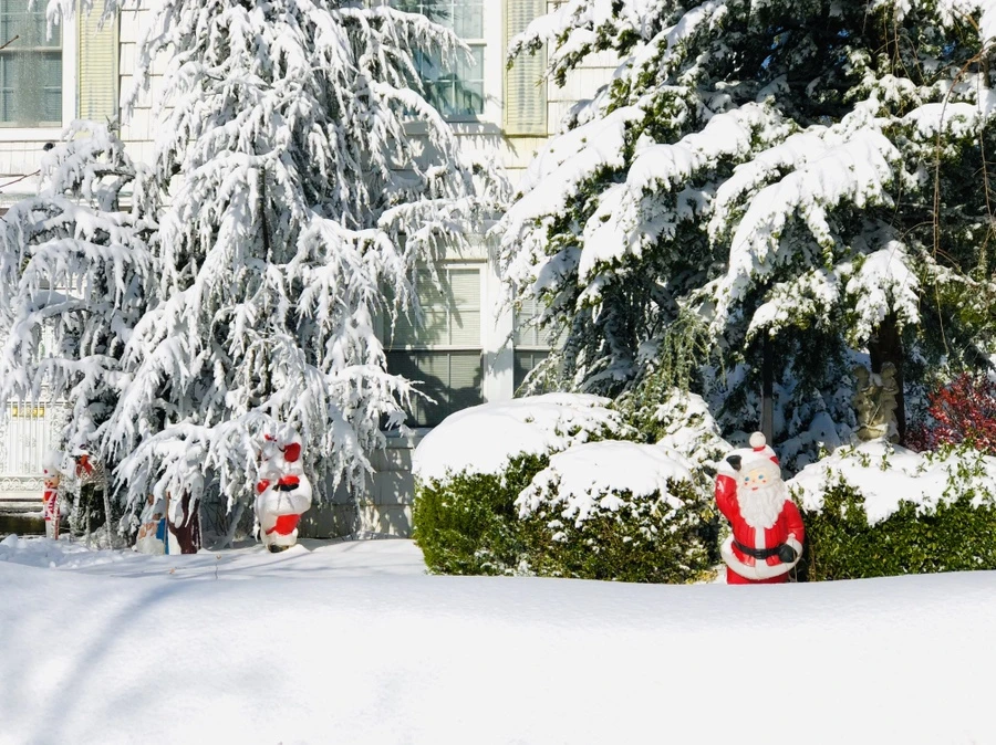 IMG_6967.jpg?type=w966