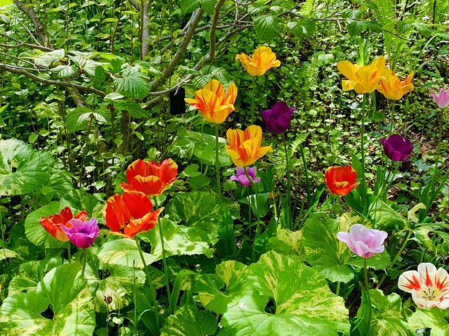 IMG_6860.jpg?type=w966