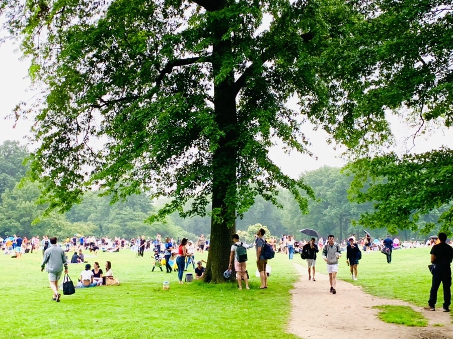 IMG_3321.jpg?type=w966