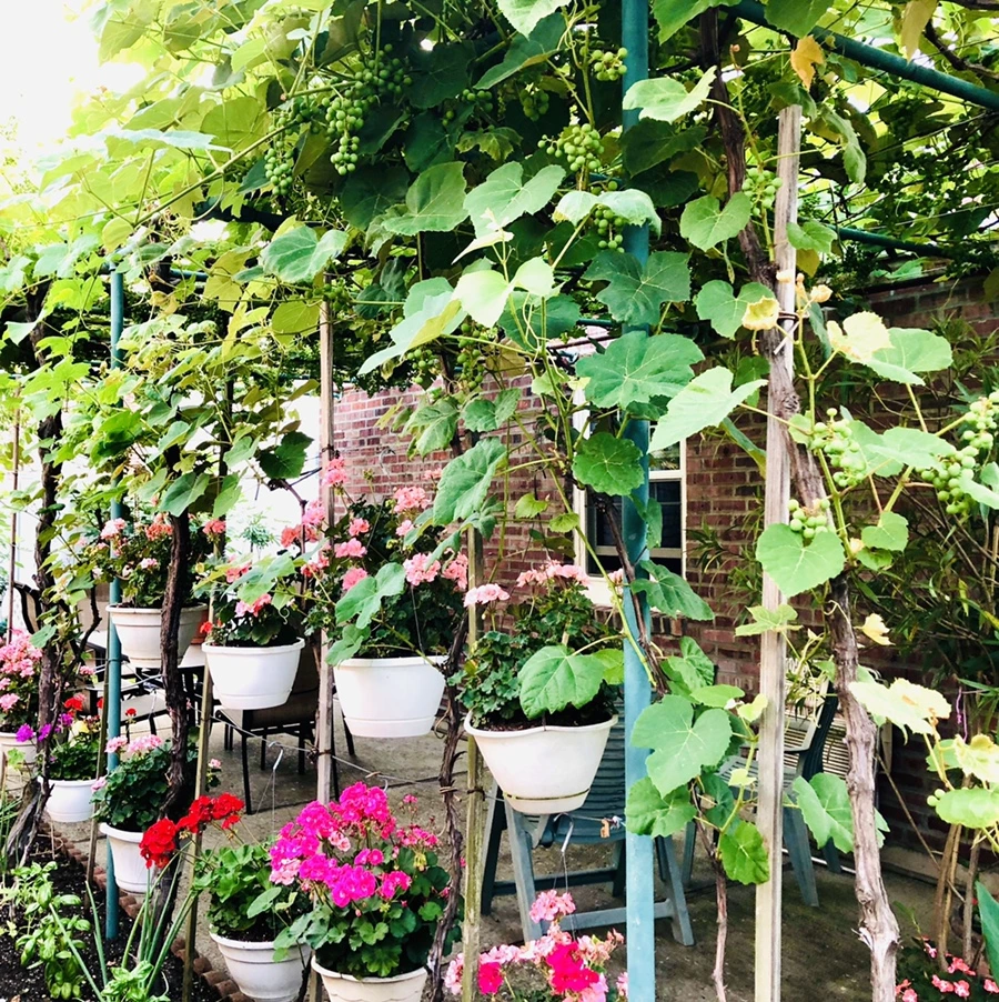 IMG_0438.jpg?type=w966