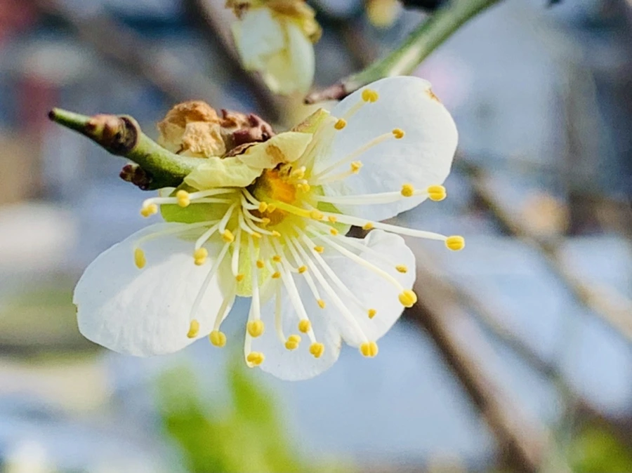 IMG_0249.jpg?type=w966