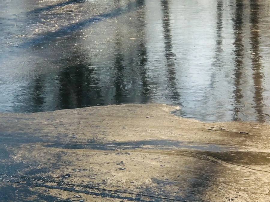 IMG_2234.jpg?type=w966