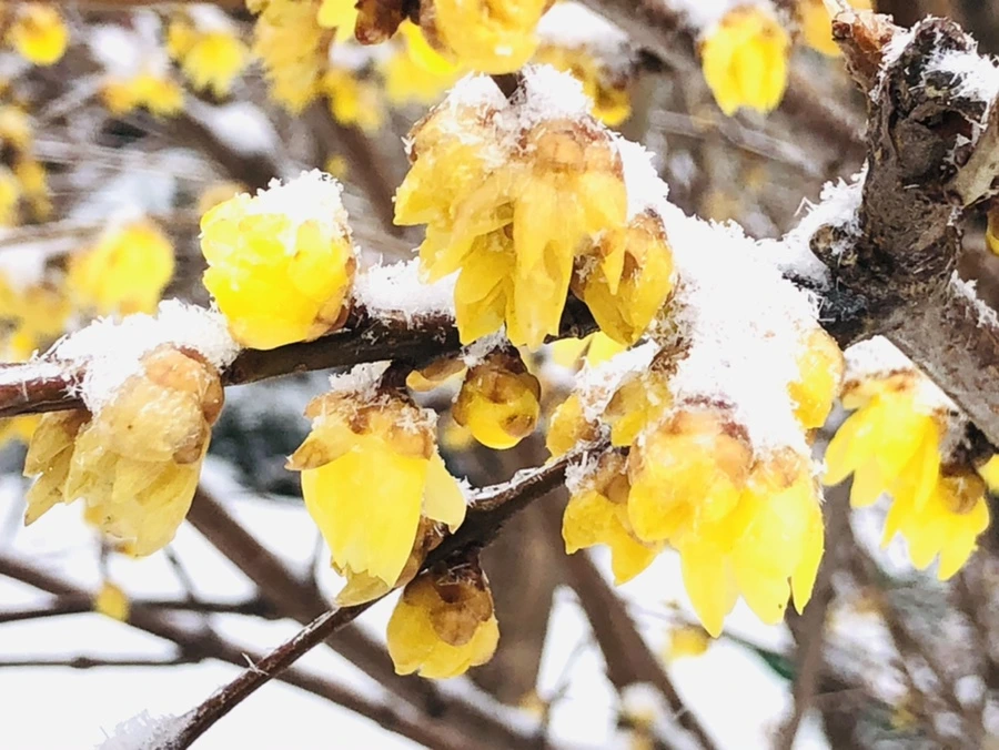 IMG_3497.jpg?type=w966