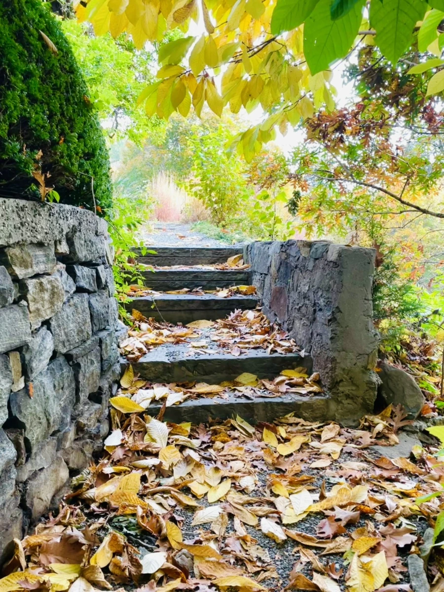 IMG_2432.jpg?type=w966