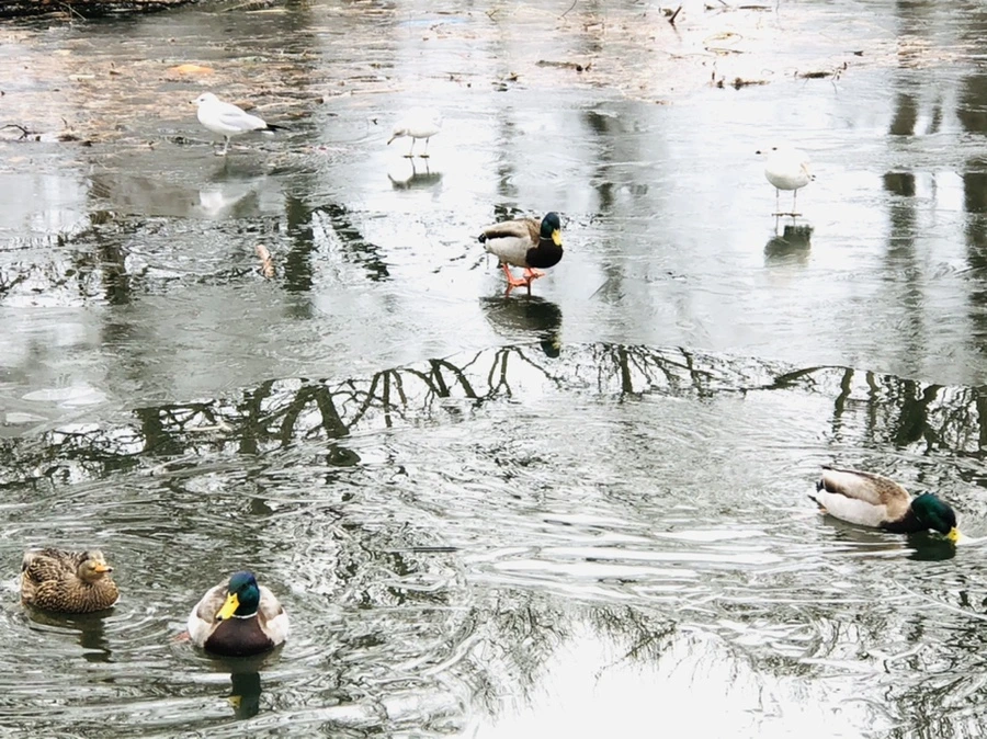 IMG_9023.jpg?type=w966