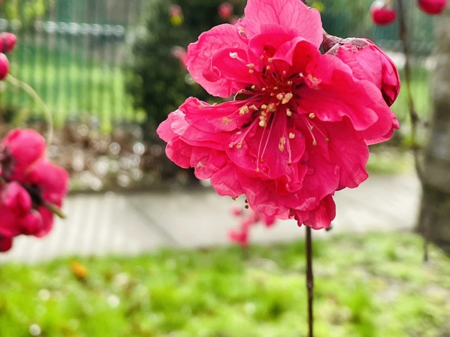 IMG_1282.jpg?type=w966