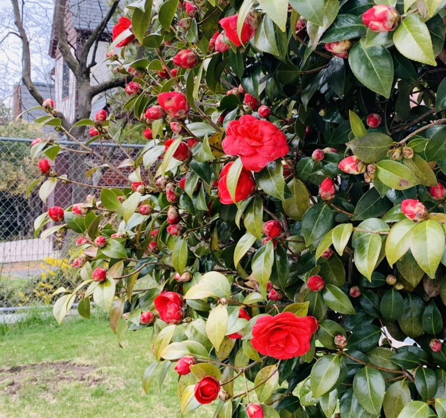 IMG_6783.jpg?type=w966