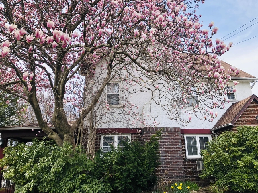 IMG_2826.jpg?type=w966