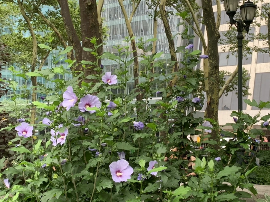 IMG_4990.jpg?type=w966