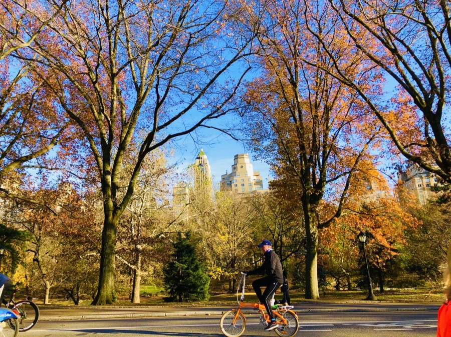 IMG_5330.jpg?type=w966