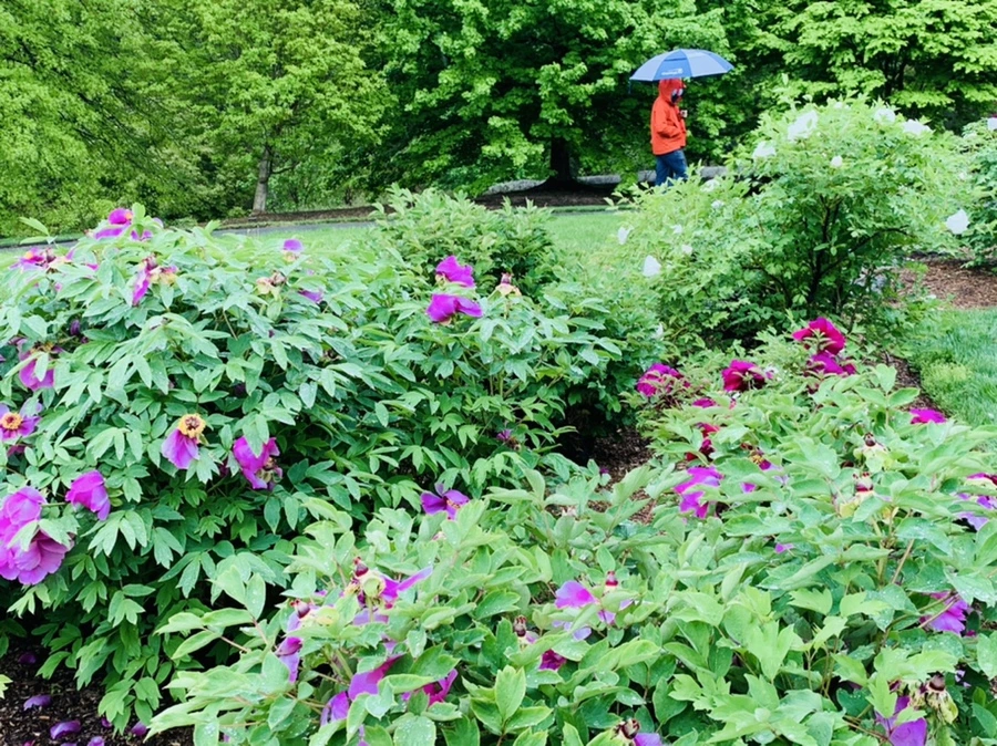 IMG_9976.jpg?type=w966