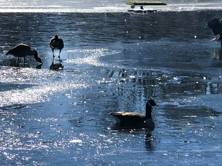 IMG_8007.jpg?type=w966