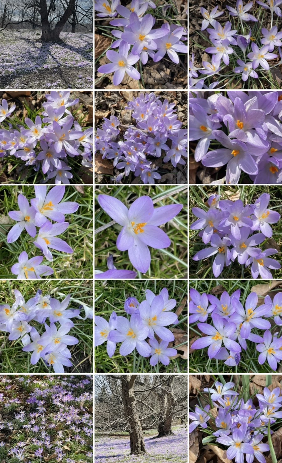 IMG_5407.jpg?type=w966