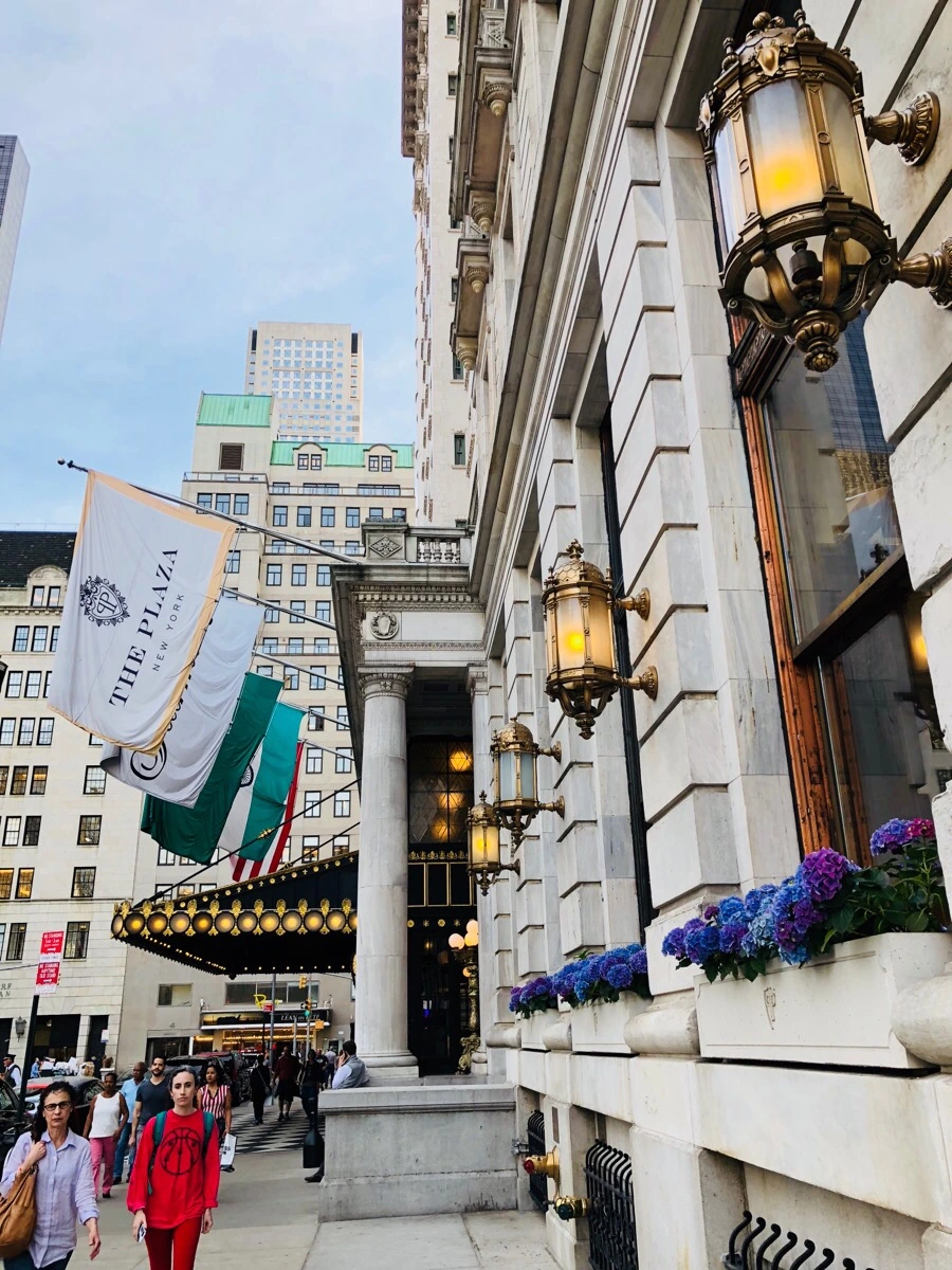 IMG_5350.jpg?type=w966