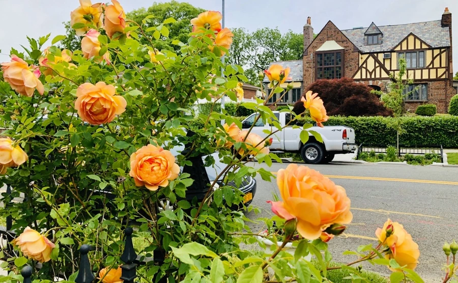 IMG_7558.jpg?type=w966