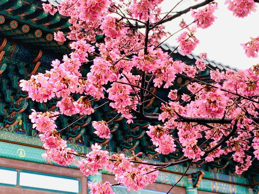 IMG_5287.jpg?type=w966