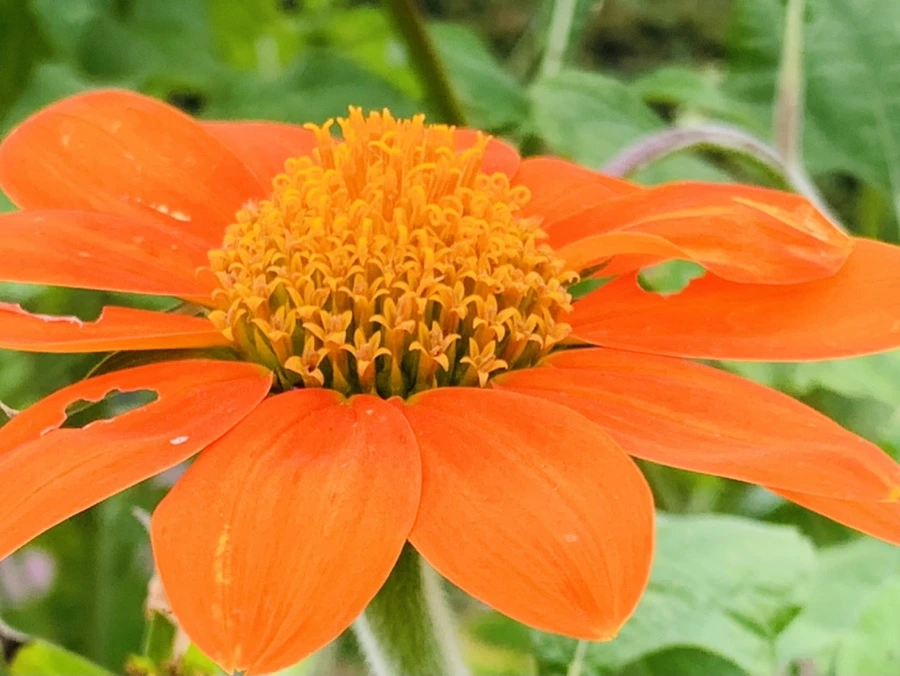 IMG_6974.jpg?type=w966