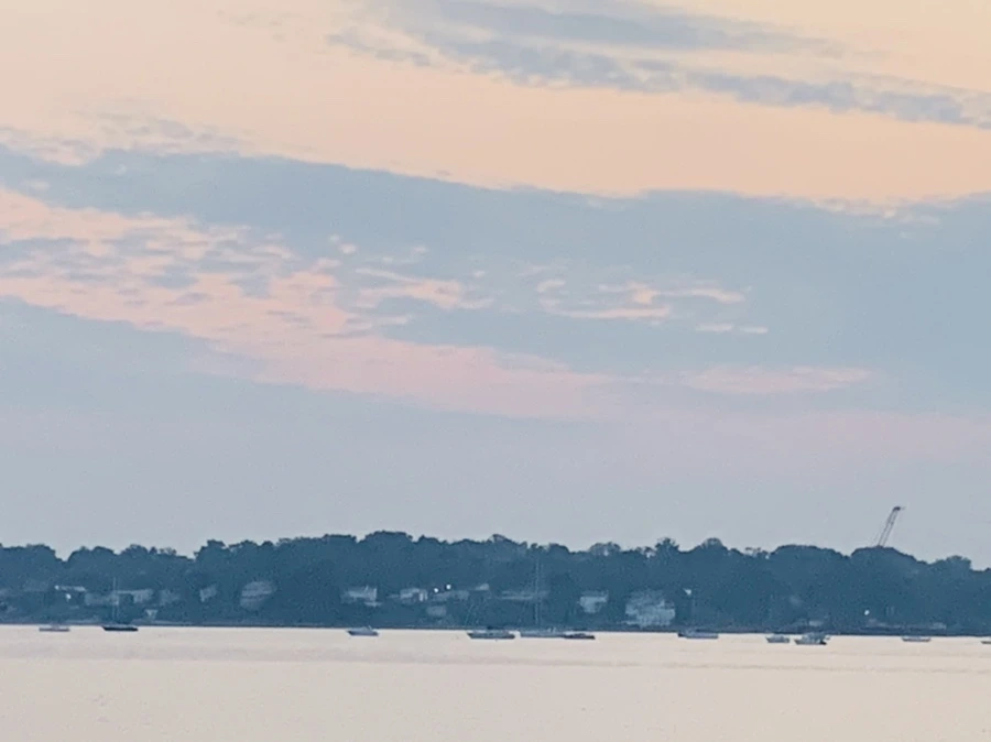 IMG_2280.jpg?type=w966