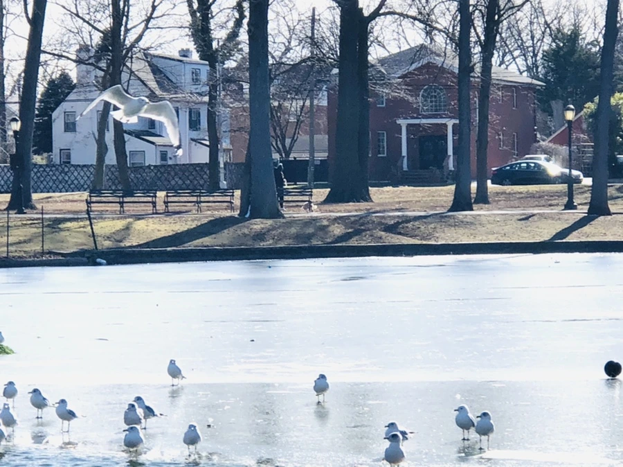 IMG_6809.jpg?type=w966