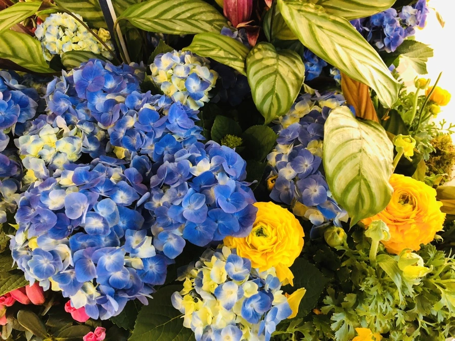 IMG_1856.jpg?type=w966