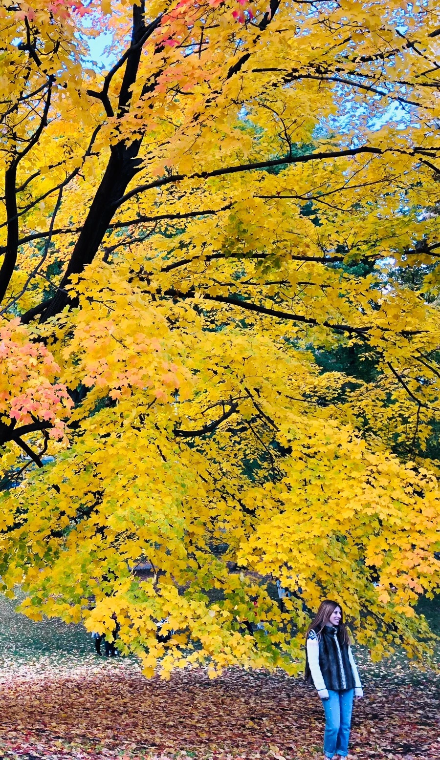 IMG_7336.jpg?type=w966