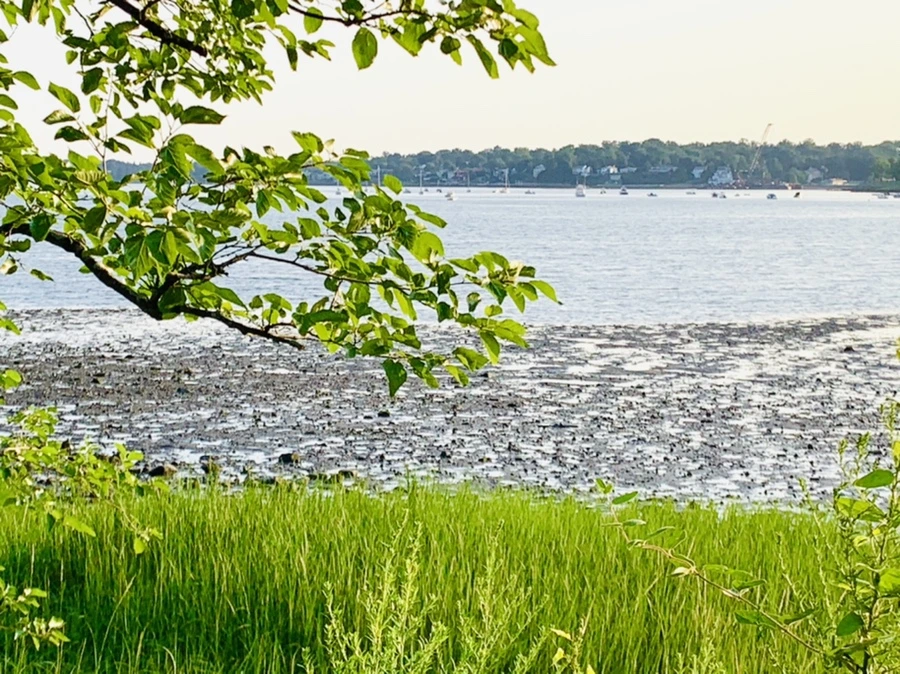 IMG_9817.jpg?type=w966