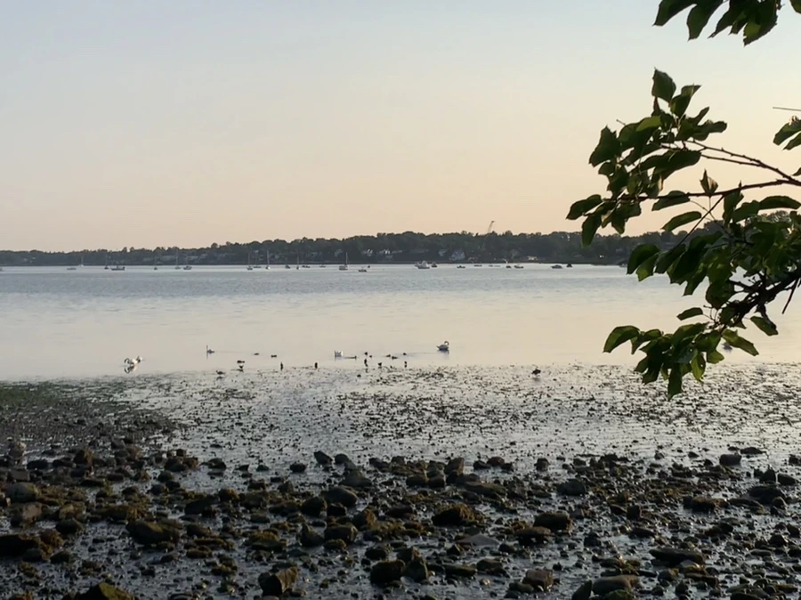 IMG_9789.jpg?type=w966