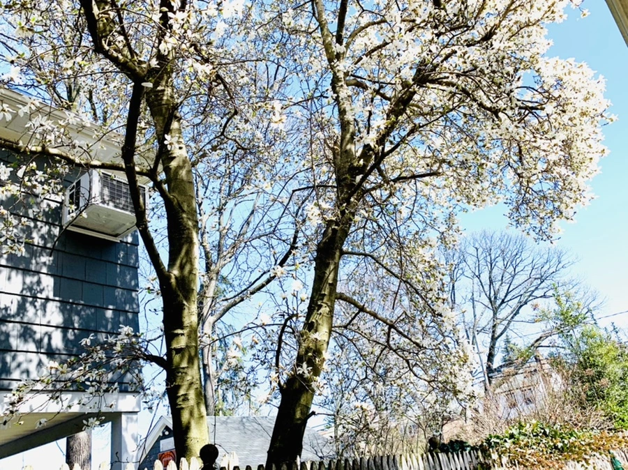 IMG_7661.jpg?type=w966