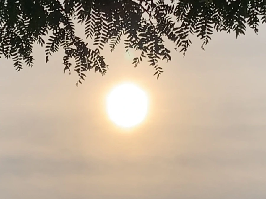 IMG_6548.jpg?type=w966