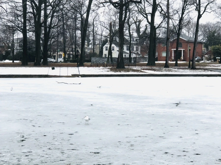 IMG_5477.jpg?type=w966