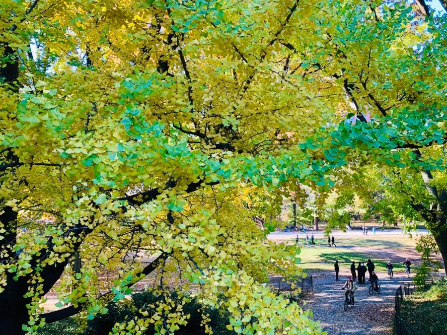 IMG_7648.jpg?type=w966