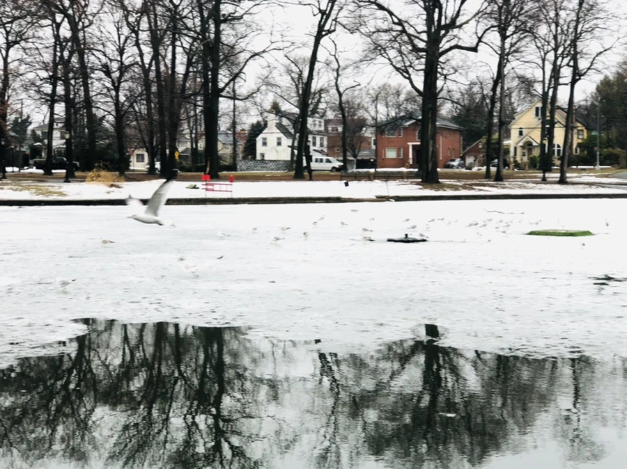 IMG_5551.jpg?type=w966