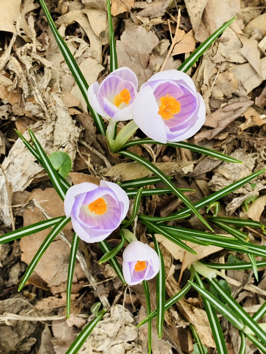 IMG_3511.jpg?type=w966