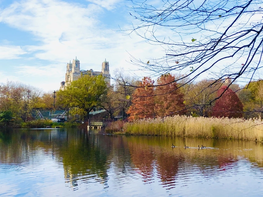 IMG_4995.jpg?type=w966