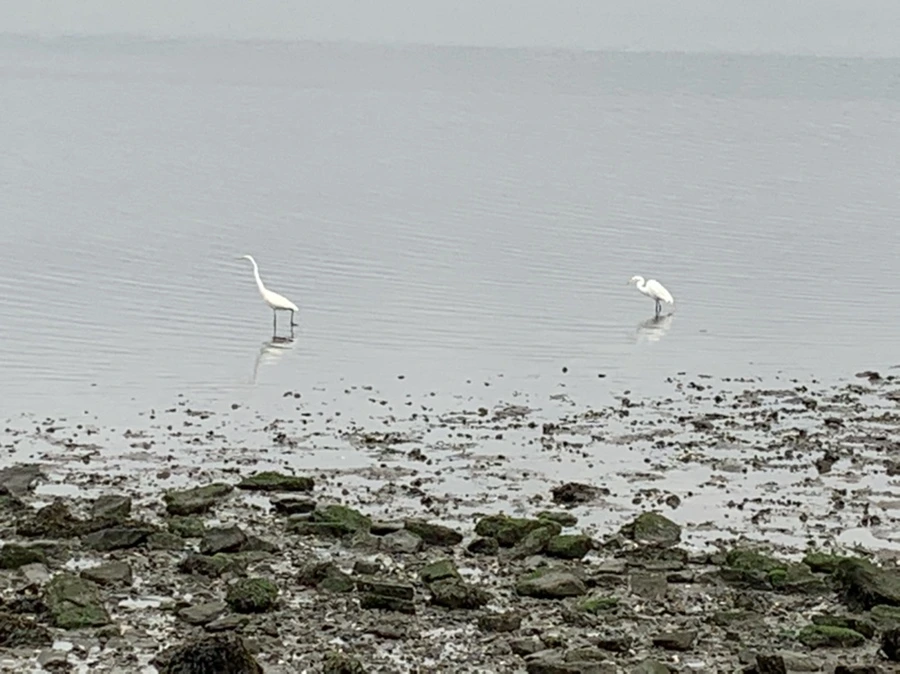 IMG_3688.jpg?type=w966