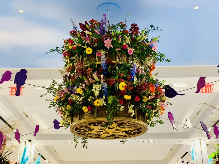 IMG_1550.jpg?type=w966