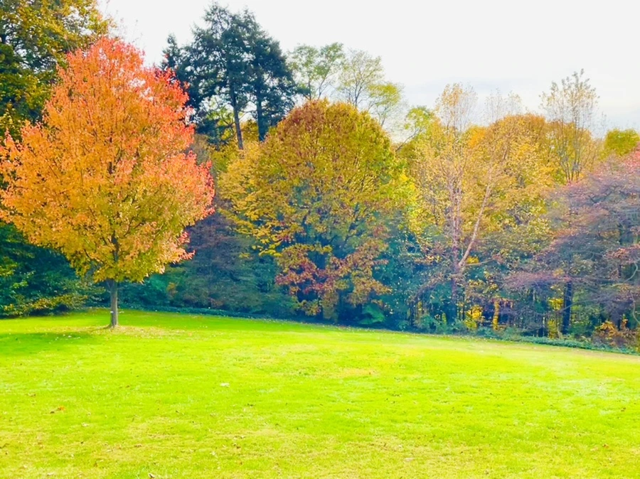 IMG_2318.jpg?type=w966