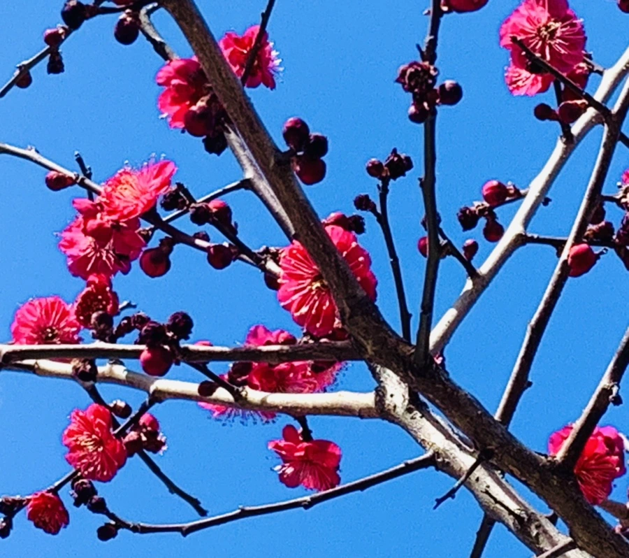 IMG_0669.jpg?type=w966