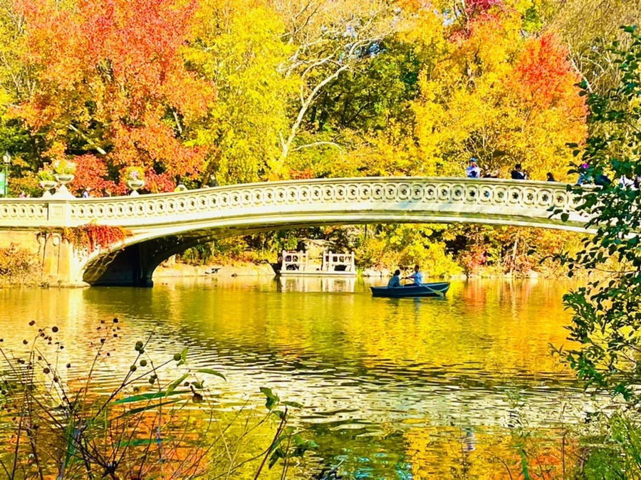 IMG_1647.jpg?type=w966