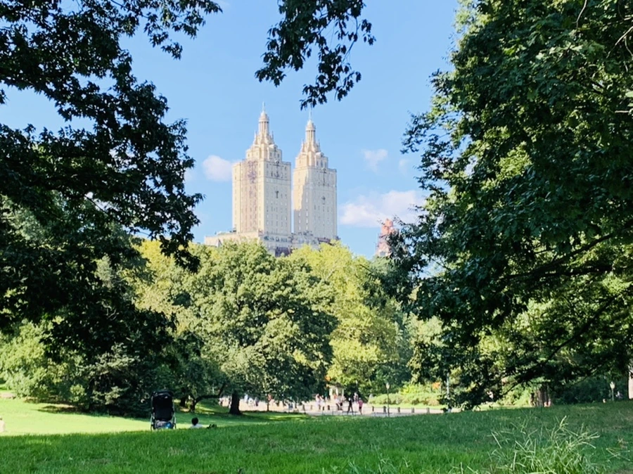 IMG_9700.jpg?type=w966