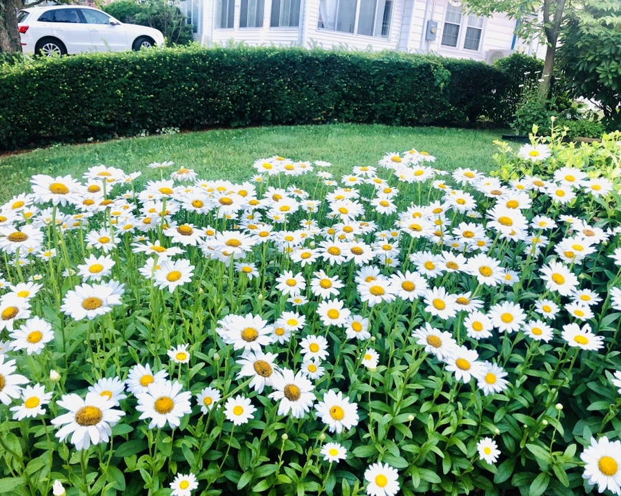 IMG_0648.jpg?type=w966