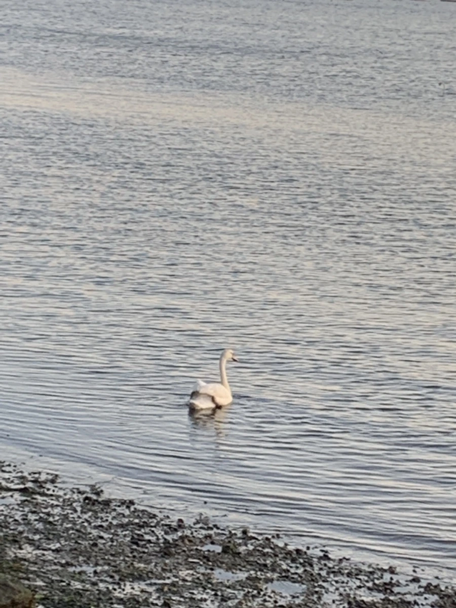 IMG_9536.jpg?type=w966