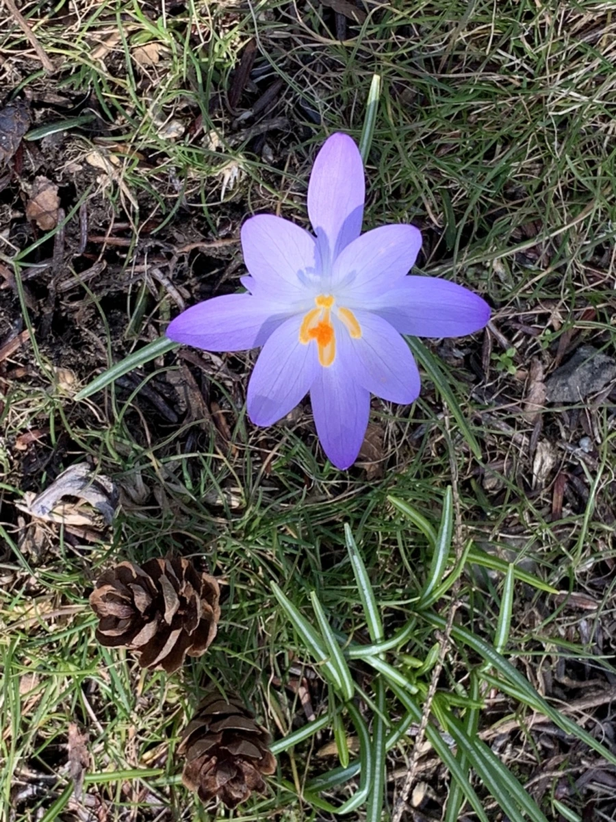 IMG_9206.jpg?type=w966