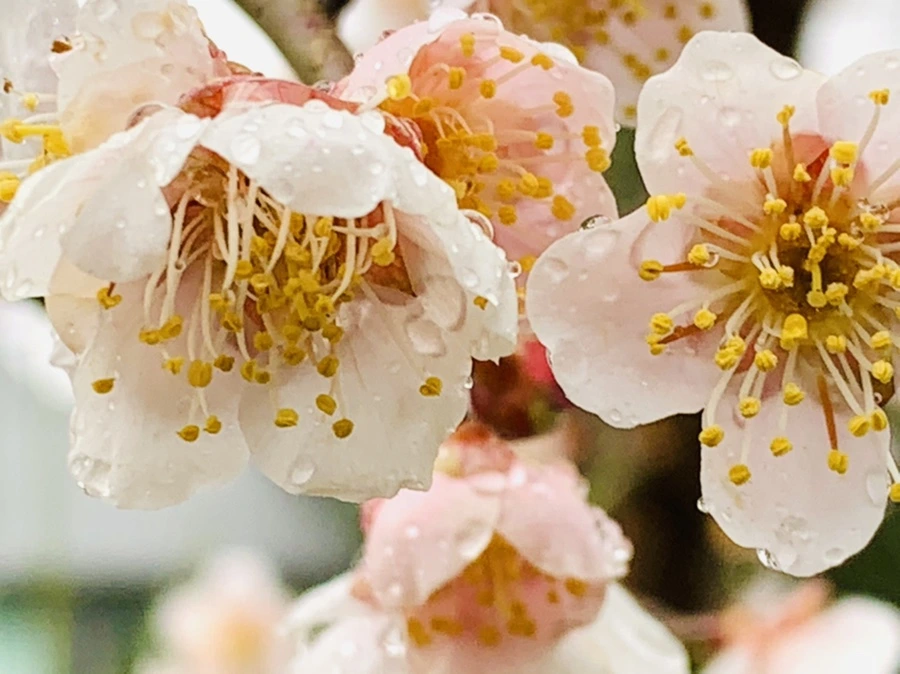 IMG_1891.jpg?type=w966